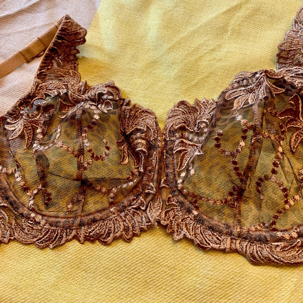 Beautiful Lace Bra - Picture 8 of 8
